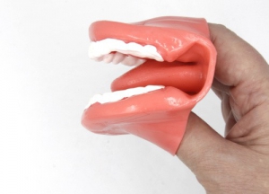 Муляж рта (мини) - fgospostavki.ru - Зеленогорск