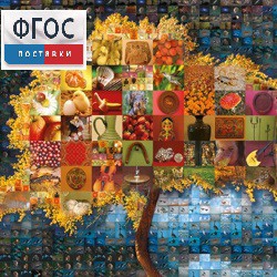 Начальная школа. Иностранный язык. (Цифровая база изображений) - fgospostavki.ru - Зеленогорск