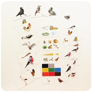 Набор магнитных карточек "Загадки-отрицания". Птицы - fgospostavki.ru - Зеленогорск