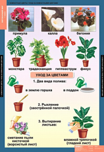 Комплект таблиц. Окружающий мир 1 класс. - fgospostavki.ru - Зеленогорск