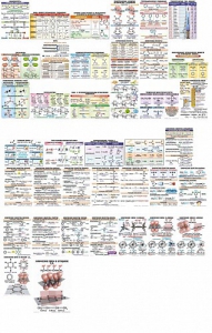 Комплект таблиц "Органическая химия" (39 штук, ламинированные) - fgospostavki.ru - Зеленогорск
