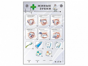 Интерактивный стенд "Живые зубки" - fgospostavki.ru - Зеленогорск