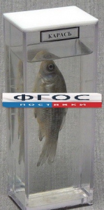 Влажный препарат "Карась" - fgospostavki.ru - Зеленогорск