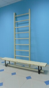 Стенка гимнастическая шведская премиум (1000х3200 мм) - fgospostavki.ru - Зеленогорск