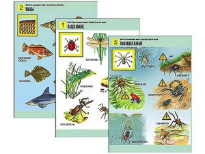 Комплект таблиц "Окружающий мир. Животный мир" (8 таблиц, А1, ламинированные) - fgospostavki.ru - Зеленогорск