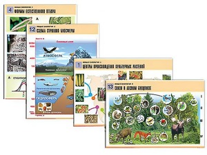Комплект таблиц по биологии демонстрационных "Общая биология 2" (14 таблиц, формат А1, ламинированные) - fgospostavki.ru - Зеленогорск