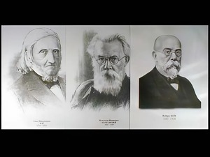 Портреты биологов (26 штук, формат А3) - fgospostavki.ru - Зеленогорск