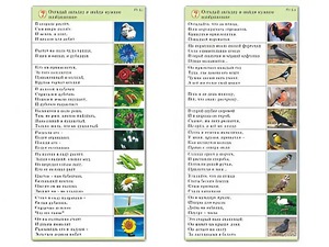 Комплект карточек (10) "Обучающий калейдоскоп. Природа" - fgospostavki.ru - Зеленогорск