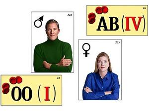 Модель-аппликация "Генетика групп крови" (ламинированная) - fgospostavki.ru - Зеленогорск