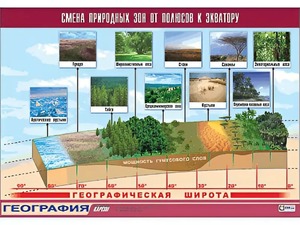 Таблица демонстрационная "Смена природных зон от полюсов к экватору" (винил 70*100) - fgospostavki.ru - Зеленогорск