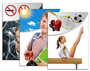 Модель-аппликация "Здоровье человека" - fgospostavki.ru - Зеленогорск