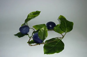 Ветка муляжей "Слива" - fgospostavki.ru - Зеленогорск