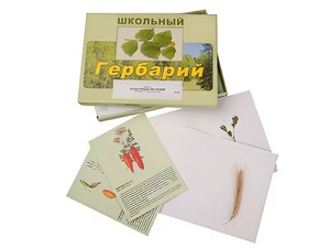 Гербарий "Культурные растения" (30 видов, с иллюстрациями) - fgospostavki.ru - Зеленогорск
