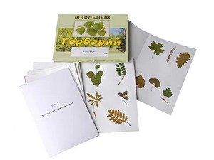 Гербарий "Морфология растений" (6 тем, 30 видов) - fgospostavki.ru - Зеленогорск