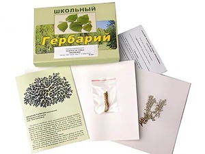 Гербарий "Водоросли. Грибы. Лишайники" (раздаточный) - fgospostavki.ru - Зеленогорск