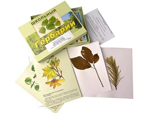 Гербарий "Жизненные формы цветковых растений" (раздаточный) - fgospostavki.ru - Зеленогорск