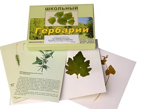 Гербарий "Систематика растений. Высшие споровые и семенные" (раздаточный) - fgospostavki.ru - Зеленогорск