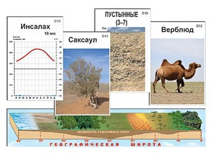 Модель-аппликация "Природные зоны" - fgospostavki.ru - Зеленогорск
