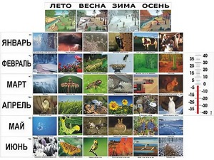 Фенологические наблюдения - fgospostavki.ru - Зеленогорск