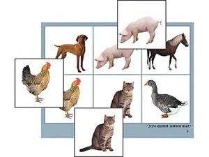 Логопедическое лото "Домашние животные" (4 планшета, 24 карточки, цветное, ламинированное) - fgospostavki.ru - Зеленогорск