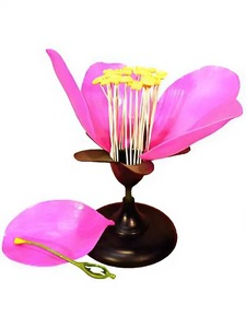 Модель цветка яблони - fgospostavki.ru - Зеленогорск