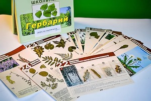 Гербарий к курсу основ общей биологии - fgospostavki.ru - Зеленогорск