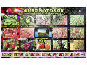 Комплект оборудования "Живой уголок" (растения) с тифлопереводом и сурдокомментариями - fgospostavki.ru - Зеленогорск