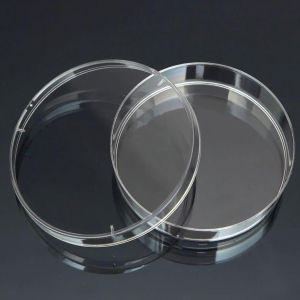 Чашка Петри стеклянная с крышкой 100х20 - fgospostavki.ru - Зеленогорск