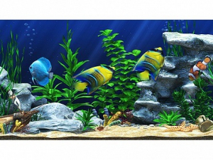 Интерактивный аттракционный комплекс "Водный мир" - fgospostavki.ru - Зеленогорск