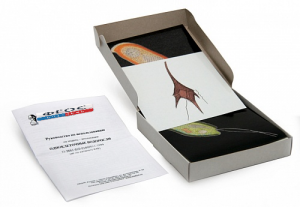 Модель-аппликация "Одноклеточные водоросли" (набор из 24 карт) - fgospostavki.ru - Зеленогорск