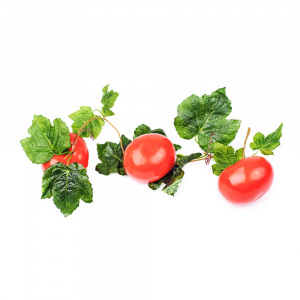 Ветка муляжей "Помидоры" - fgospostavki.ru - Зеленогорск