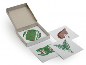 Модель-аппликация "Размножение папоротника" (набор из 8 карт) - fgospostavki.ru - Зеленогорск