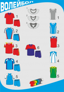 Форма волейбольная с длинными рукавами - fgospostavki.ru - Зеленогорск