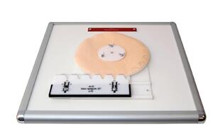 Комплекс "Изучение зубьев" - fgospostavki.ru - Зеленогорск