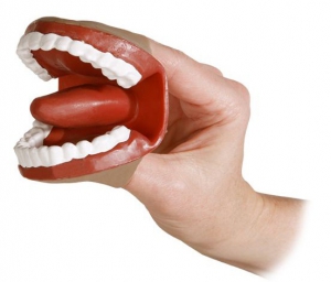 Муляж артикуляционного аппарата - fgospostavki.ru - Зеленогорск