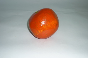 Муляж "Гранат" - fgospostavki.ru - Зеленогорск