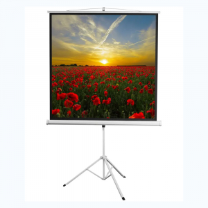 Экран на штативе DSKD-1105  - fgospostavki.ru - Зеленогорск