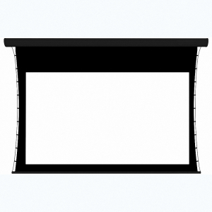 Экран настенный с электроприводом DSTPX-16918 - fgospostavki.ru - Зеленогорск