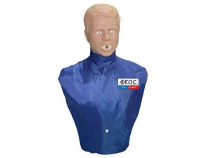 Тренажер-манекен взрослого пострадавшего "Искандер" для отработки приемов удаления инородного тела из верхних дыхательных путей - fgospostavki.ru - Зеленогорск