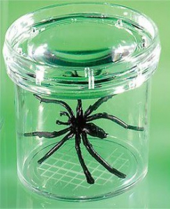 Баночка для изучения насекомых GeoSafari - fgospostavki.ru - Зеленогорск