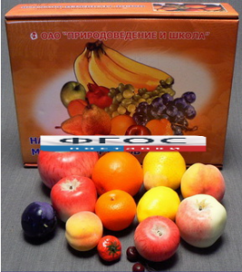 Набор муляжей фруктов (большой из 13 штук) - fgospostavki.ru - Зеленогорск