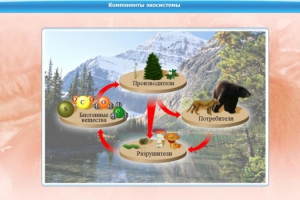 Интерактивные курсы. Биология 7 класс. Базовый. - fgospostavki.ru - Зеленогорск