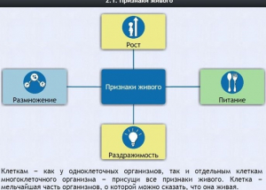 Интерактивные курсы. Биология 5 класс. Базовый - fgospostavki.ru - Зеленогорск