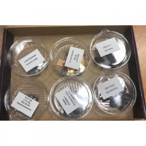 Раздаточная коллекция "Образцы полезных ископаемых и металлов" (15 видов) - fgospostavki.ru - Зеленогорск