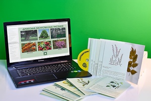 Гербарий натурально-интерактивный "Лекарственные растения" - fgospostavki.ru - Зеленогорск