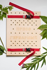 Пресс гербарный (сетка) - fgospostavki.ru - Зеленогорск