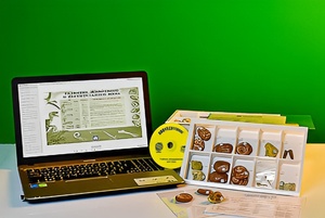 Коллекция натурально-интерактивная "Палеонтологическая" - fgospostavki.ru - Зеленогорск