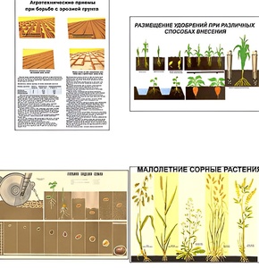 Плакаты ПРОФТЕХ "Агрономия" (5 пл, винил, 70х100) - fgospostavki.ru - Зеленогорск