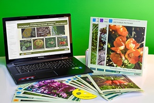 Гербарий натурально-интерактивный "Основные группы растений. Грибы. Лишайники" - fgospostavki.ru - Зеленогорск