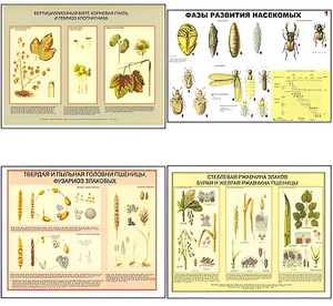 Плакаты ПРОФТЕХ "Вредители и болезни с/х культур и меры борьбы с ними" (11 пл, винил, 70х100) - fgospostavki.ru - Зеленогорск